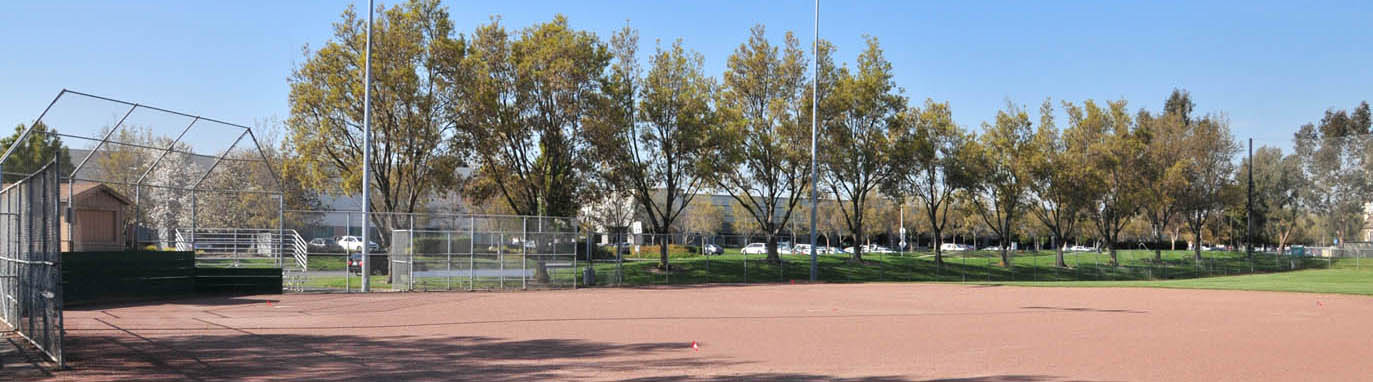 Baseball Field Banner